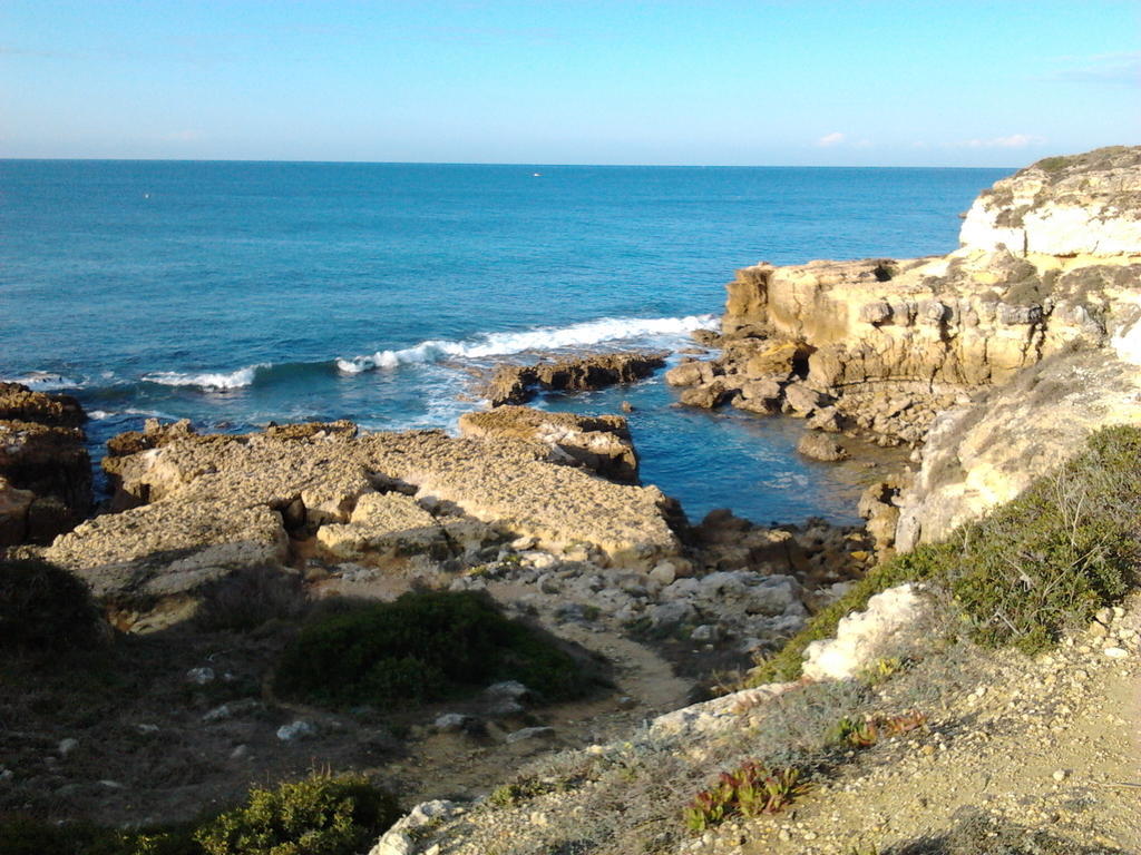 Quinta Das Flores Villa Albufeira Esterno foto