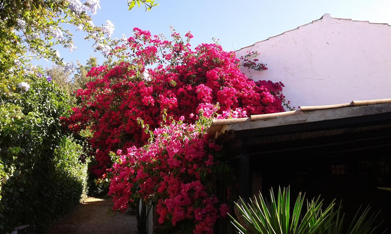 Quinta Das Flores Villa Albufeira Esterno foto